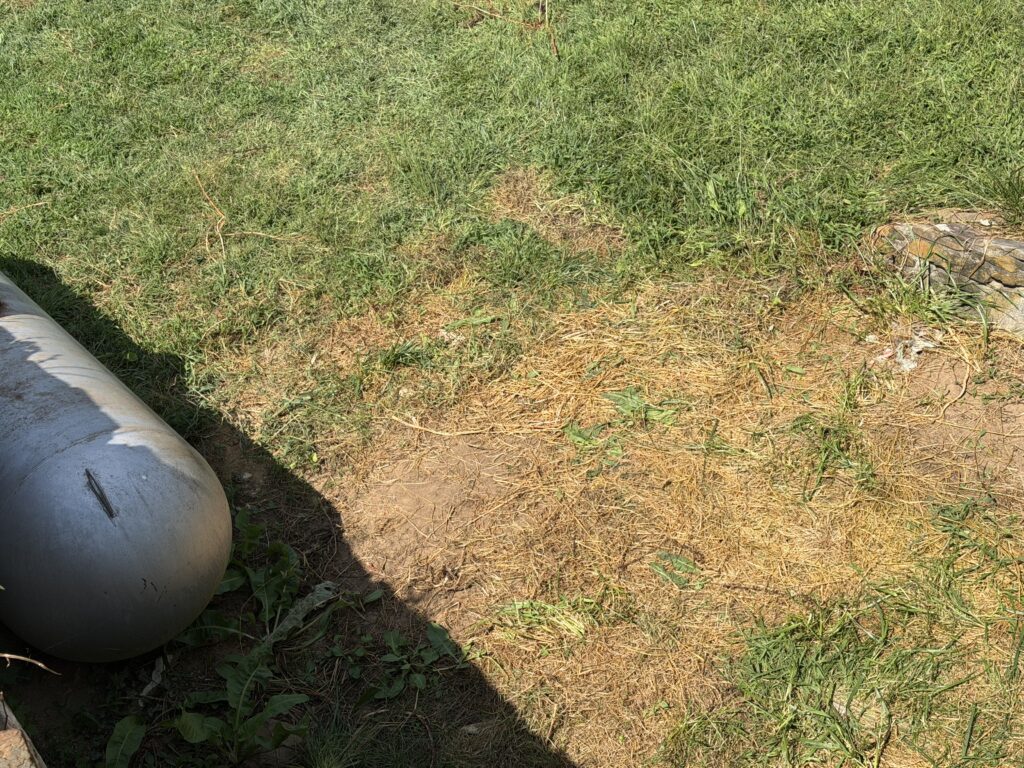 Yard after junk removal in Blairsville, GA, showing cleared ground and grass beside a large propane tank where unwanted items were removed by Appalachian Junk Removal, LLC.