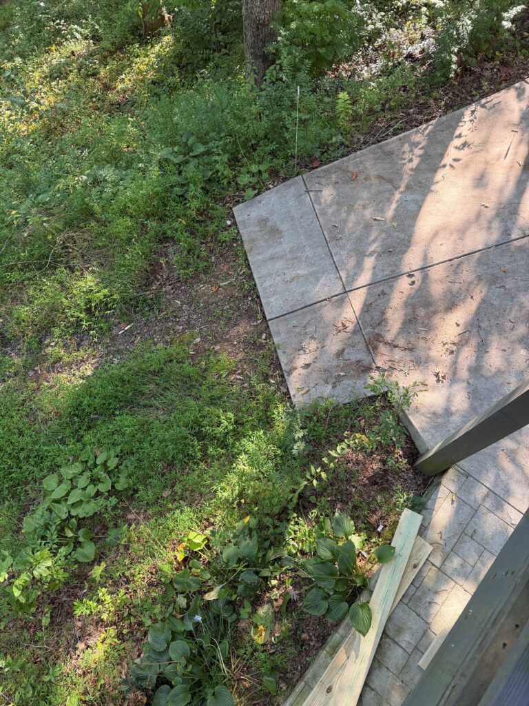 AFTER — Concrete walkway and adjacent landscaped area cleared of composite decking debris by Appalachian Junk Removal, LLC in Hiawassee, Georgia.
